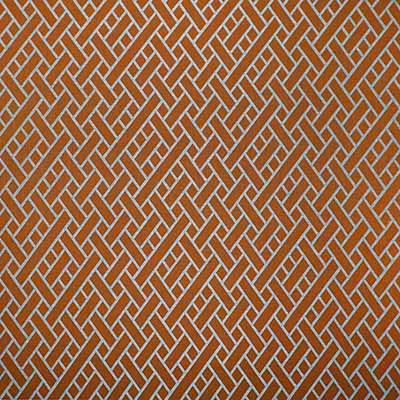 Nairobi Naranja by Gaston Y Daniela Fabric