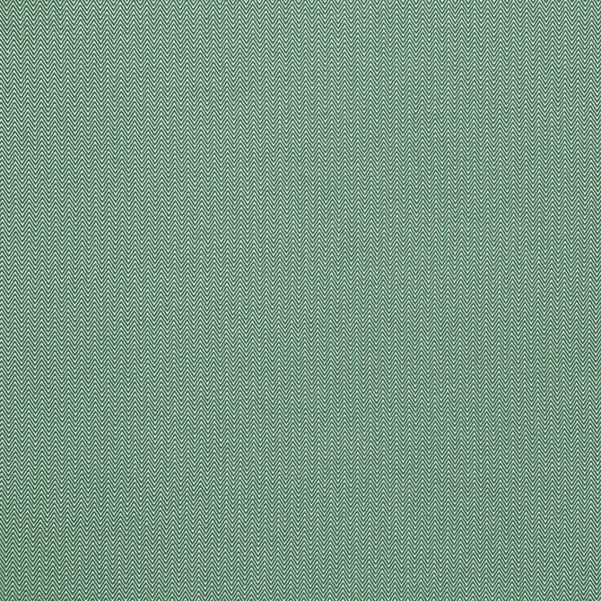 Donald Verde by Gaston Y Daniela Fabric GASTON AFRICALIA POLYPROPYLENE - 100% Belgium HEAVY Horizontal: 0.24 and Vertical: 0.67 61 - Fabric Carolina -