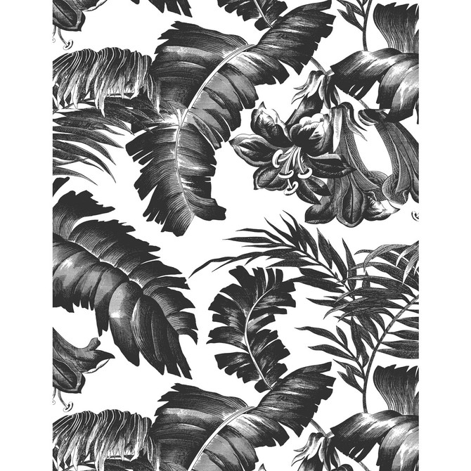 Plantation Black&White by Gaston Y Daniela Wallcovering GASTON LIBRERIA VINYL - 100% Italy - Horizontal: 0 and Vertical: 27.5 27.5 - Fabric Carolina -
