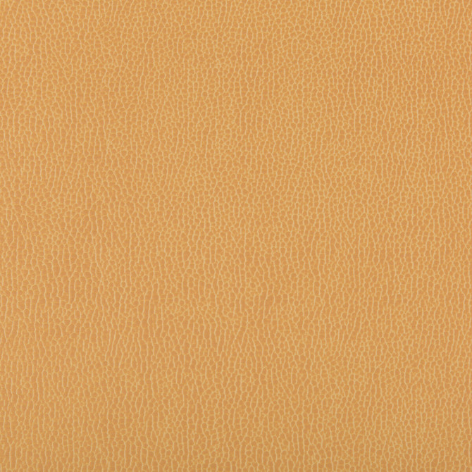 Lenox Camel by Kravet Contract Fabric SILICONE - 100% China HEAVY Horizontal: 0 and Vertical: 0 55 - Fabric Carolina -