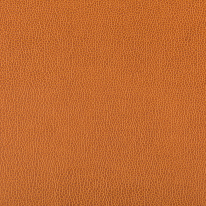 Lenox Marmalade by Kravet Contract Fabric
