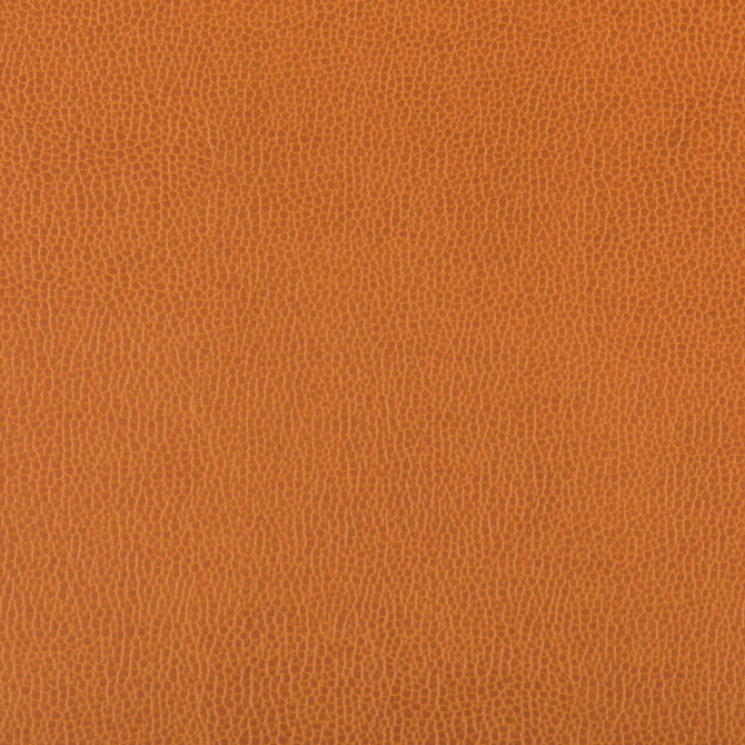 Lenox Marmalade by Kravet Contract Fabric Kravet Contract Fabric Lenox MarmaladeFabric SILICONE - 100% China </p><p>Repeat: H: 0, V: 0 55 - Fabric Carolina -