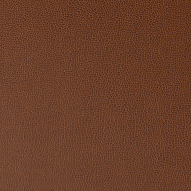 Lenox Rootbeer by Kravet Contract Fabric