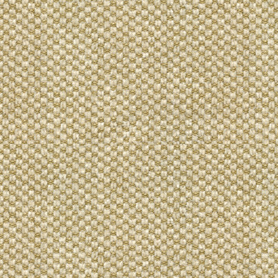 Sp-81782-68 by Kravet Couture Fabric - COTTON - 50%;RAYON - 50% United States - Horizontal: 0.25 and Vertical: 0.375 54 - Fabric Carolina -