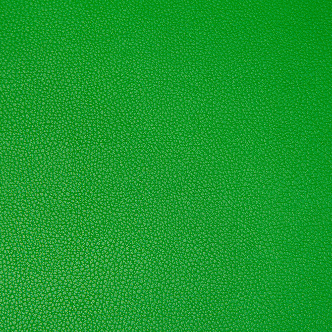 Syrus Lucky by Kravet Contract Fabric - SILICONE - 100% China HEAVY Horizontal: 0 and Vertical: 0 55 - Fabric Carolina -