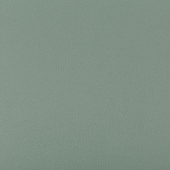 Syrus Herbal by Kravet Contract Fabric - SILICONE - 100% China HEAVY Horizontal: 0 and Vertical: 0 55 - Fabric Carolina -