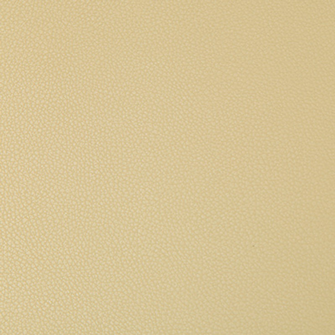 Syrus Flax by Kravet Contract Fabric