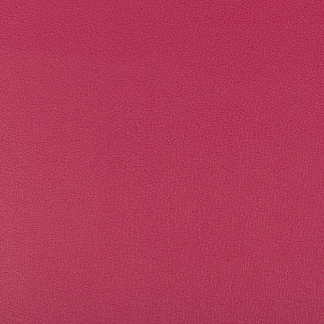 Syrus Fuschia by Kravet Contract Fabric - SILICONE - 100% China HEAVY Horizontal: 0 and Vertical: 0 55 - Fabric Carolina -