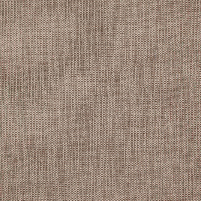 Alastor 33J7851 by JF Fabric Alastor 100% Polyester India 180000 Horizontal: and Vertical: 55 - Fabric Carolina -