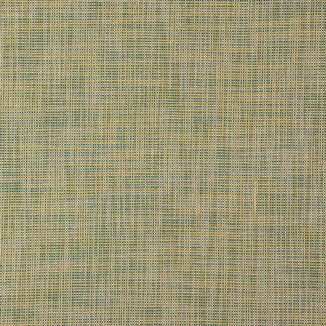ALASTOR 73J7851 by JF Fabric ALASTOR 100% Polyester INDIA ABRASIO (HEAVY DUTY- 30,000+ DOUBLE RUBS) Horizontal: N/A and Vertical: N/A 55.00 - Fabric Carolina -