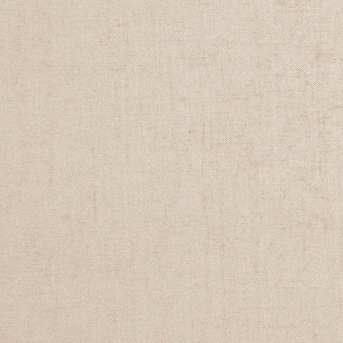 BATTLE 92J7081 by JF Fabric Winning Weaves V Book 100% Polyester India Horizontal: and Vertical: 55 - Fabric Carolina -