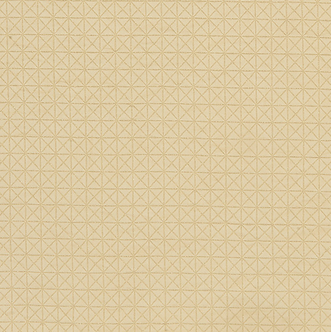 CANARY 15J8221 by JF Fabric Glisten 100% Polyester India Horizontal: 1 and Vertical: 1 54 - Fabric Carolina -