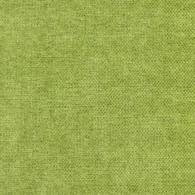 COMBAT 74J7081 by JF Fabric Winning Weaves V Book 100% Polyester India Horizontal: and Vertical: 55 - Fabric Carolina -