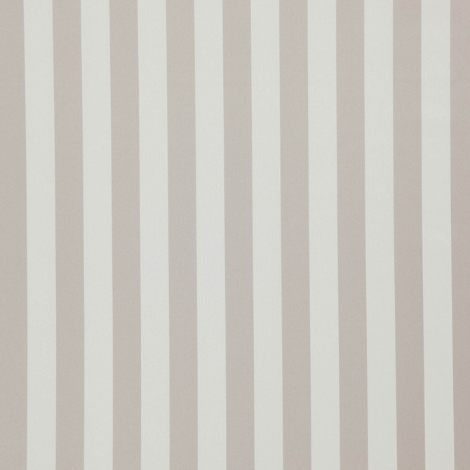 Falsetto 32J7611 by JF Fabric Le Cirque Book 59% Cotton, 41% Polyester India 50000 Horizontal: 2 and Vertical: 55 - Fabric Carolina -