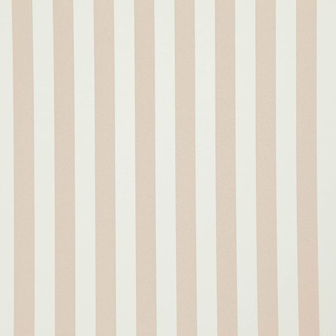 FALSETTO 41J7611 by JF Fabric LE CIRQUE 59% Cotton, 41% Polyester INDIA ABRASIO (HEAVY DUTY- 30,000+ DOUBLE RUBS) Horizontal: 2.000 and Vertical: N/A 55.00 - Fabric Carolina -