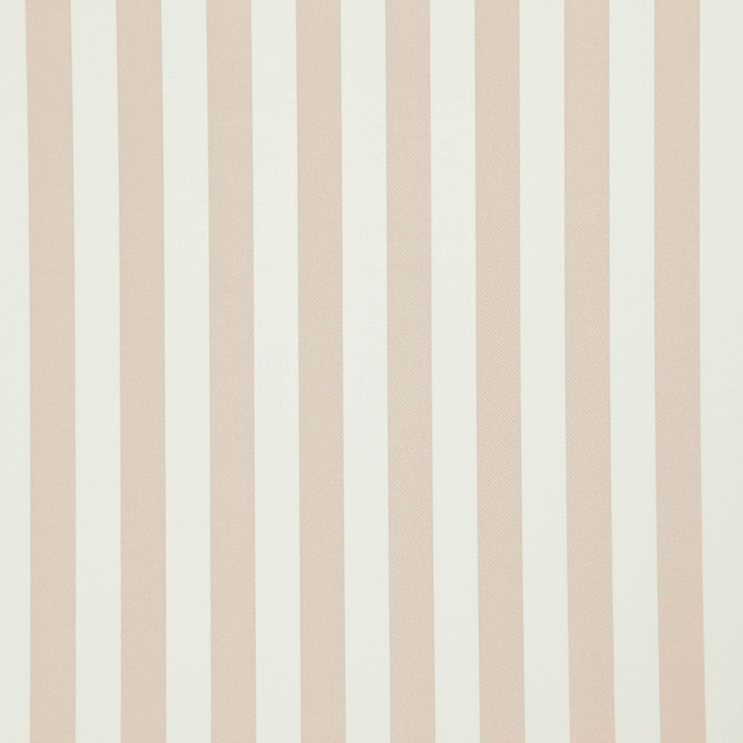 Falsetto 41J7611 by JF Fabric Le Cirque Book 59% Cotton, 41% Polyester India 50000 Horizontal: 2 and Vertical: 55 - Fabric Carolina -