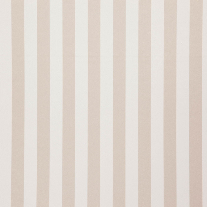 Falsetto 92J7611 by JF Fabric Le Cirque Book 59% Cotton, 41% Polyester India 50000 Horizontal: 2 and Vertical: 55 - Fabric Carolina -