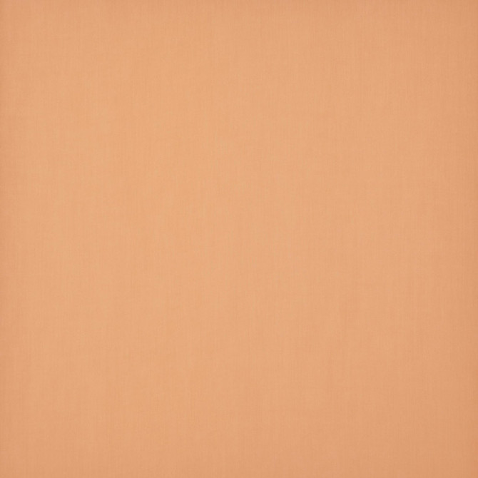 LODGE 24J7711 by JF Fabric WINNING WINDOWS CONTRACT VOL 2 100% Polyester TURKEY (see sample) Horizontal: N/A and Vertical: N/A 118.00 - Fabric Carolina -