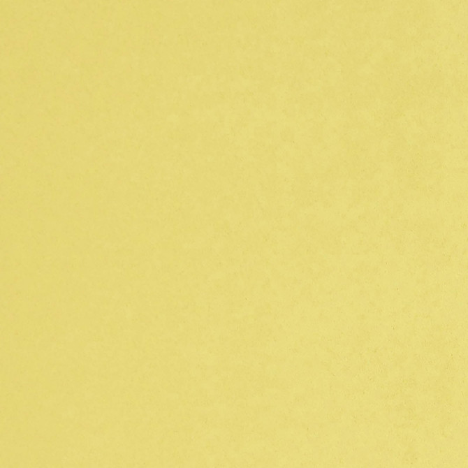 Myles 16J7121 by JF Fabric Myles Book 100% Polyester Taiwan 55000 Horizontal: and Vertical: 55 - Fabric Carolina -