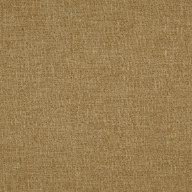 Player 17J8311 by JF Fabric Everyday Player 100% Polyester India 200000 Horizontal: and Vertical: 54 - Fabric Carolina -