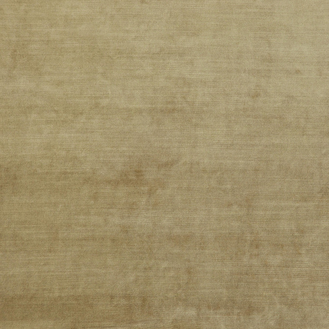 POSH 73J5831 by JF Fabric Posh Book 56% Viscose, 44% Cotton India Horizontal: and Vertical: 57 - Fabric Carolina -