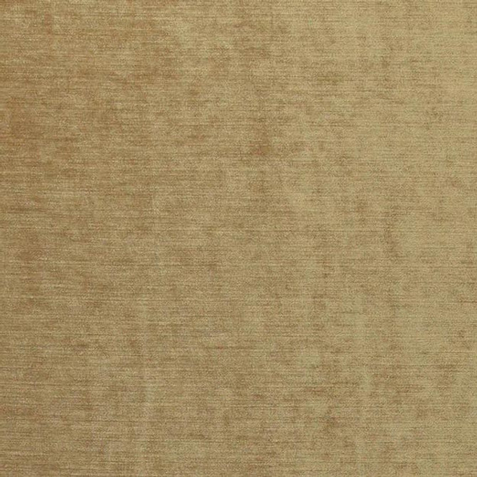 REVIVAL 34J7371 by JF Fabric REVIVAL 100% Polyester TURKEY ABRASIO (HEAVY DUTY- 30,000+ DOUBLE RUBS) Horizontal: N/A and Vertical: N/A 59.00 - Fabric Carolina -