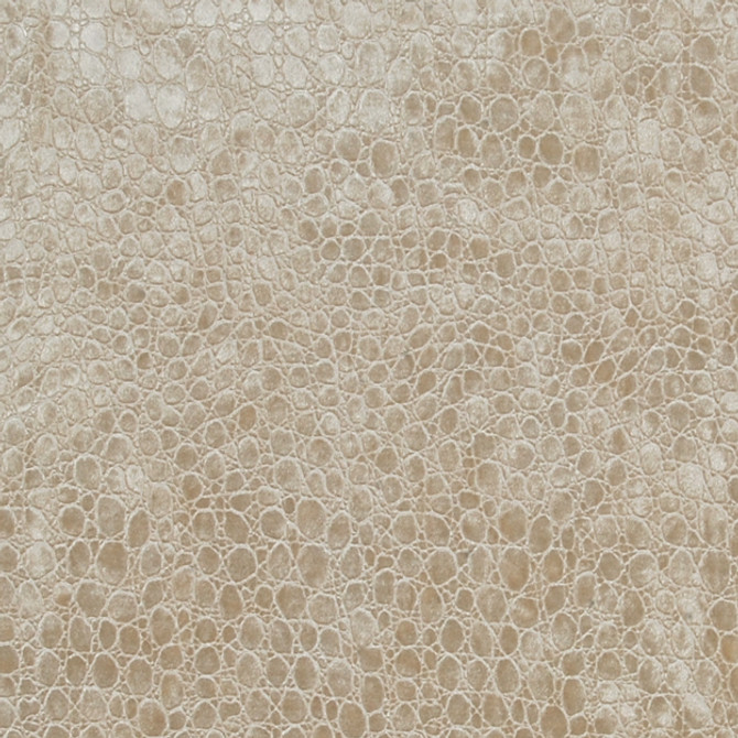 TERRITORY 11J5901 by JF Fabric EMPIRE 100% Polyester CHINA ABRASIO (HEAVY DUTY- 30,000+ DOUBLE RUBS) Horizontal: 2.625 and Vertical: 8.500 56.00 - Fabric Carolina -