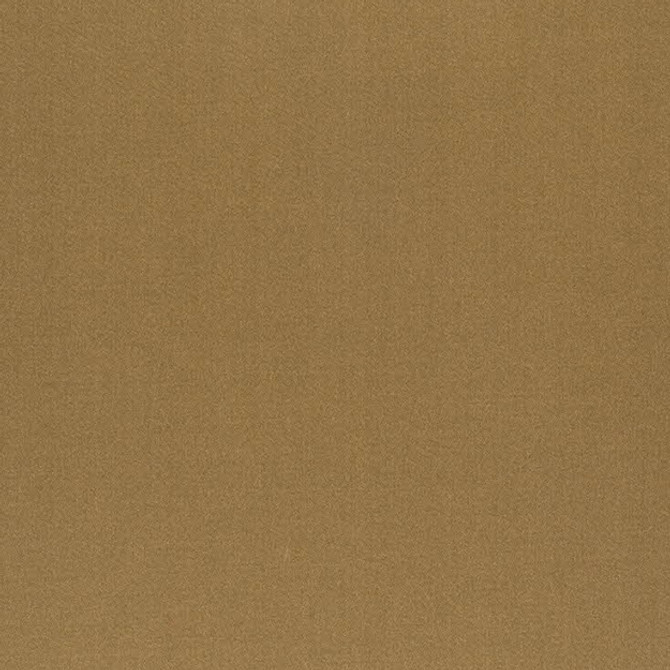 WHISPER 75J5371 by JF Fabric WHISPER 60% Cotton, 40% Polyester INDIA ABRASIO (HEAVY DUTY- 30,000+ DOUBLE RUBS) Horizontal: N/A and Vertical: N/A 53.00 - Fabric Carolina -