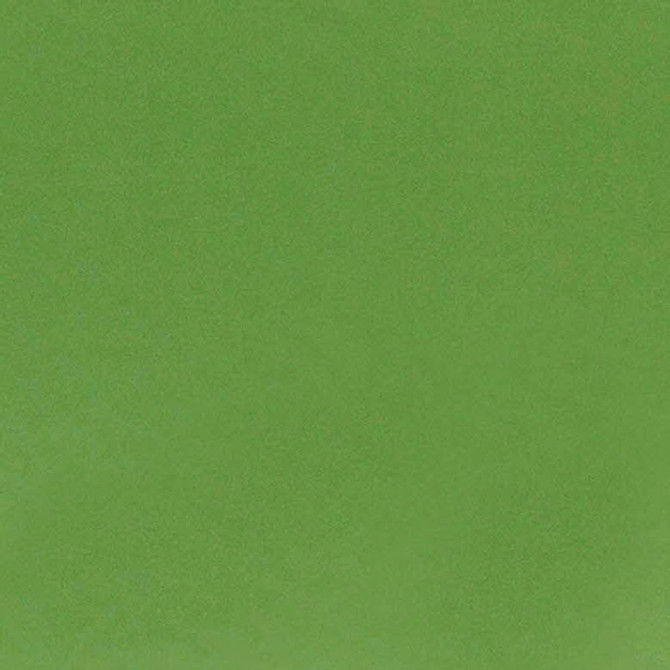 WHISPER 175J6921 by JF Fabric WHISPER II 60% Cotton, 40% Polyester INDIA ABRASIO (HEAVY DUTY- 30,000+ DOUBLE RUBS) Horizontal: N/A and Vertical: N/A 53.00 - Fabric Carolina -