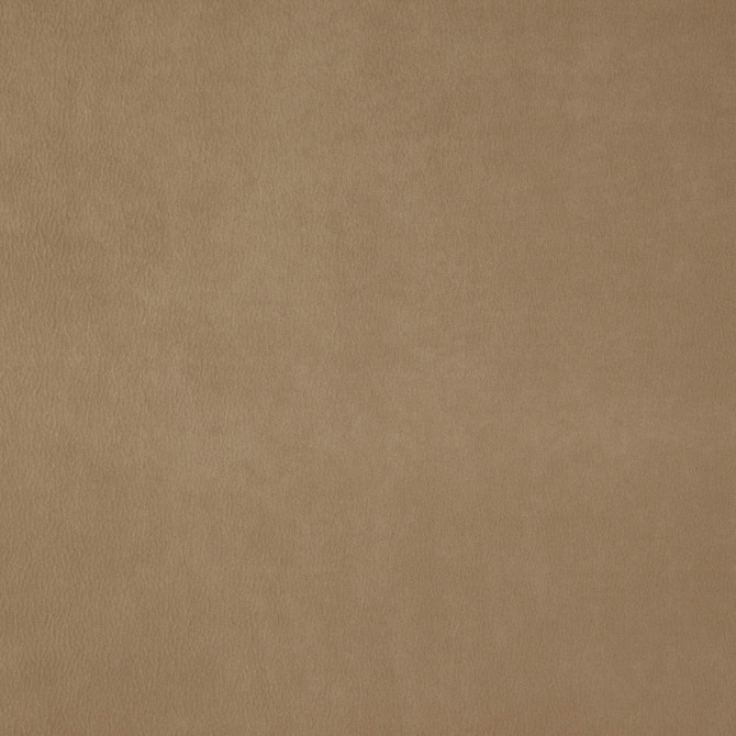 WISDOM 34J7531 by JF Fabric Tannery Basics II Book 100% Polyester China Horizontal: and Vertical: 55 - Fabric Carolina -