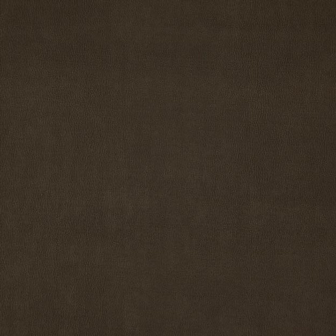 WISDOM 38J7531 by JF Fabric TANNERY BASICS II 100% Polyester CHINA ABRASIO (HEAVY DUTY- 30,000+ DOUBLE RUBS) Horizontal: N/A and Vertical: N/A 55.00 - Fabric Carolina -
