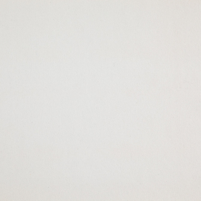 Woolsley 90J8171 by JF Fabric Renegade Fibreguard 100% Polyester China 135000 Horizontal: and Vertical: 57 - Fabric Carolina -