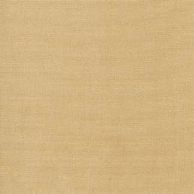 Sashay Malt by Carole Fabric Sashay 100% POLYESTER FR India Passes 25,000 Double Rubs Wyzenbeek Horizontal: 0" and Vertical: 0" 54" - Fabric Carolina -