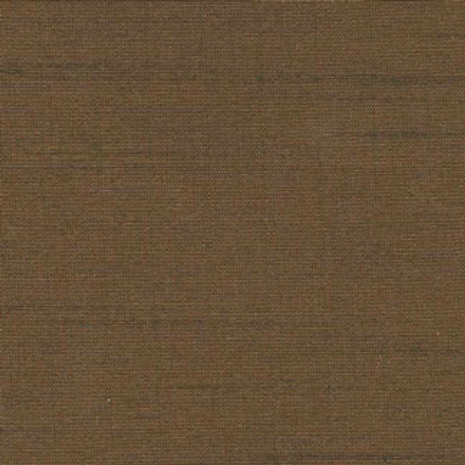 Succulent Milk Chocolate by Carole Fabric Succulent 100% POLYESTER INDIA N/A Horizontal: 0" and Vertical: 0" 54" - Fabric Carolina -