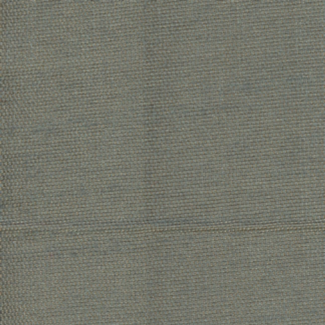 Succulent Cerulean by Carole Fabric Succulent II 100% Polyester India N/A Horizontal: 0" and Vertical: 0" 54" - Fabric Carolina -