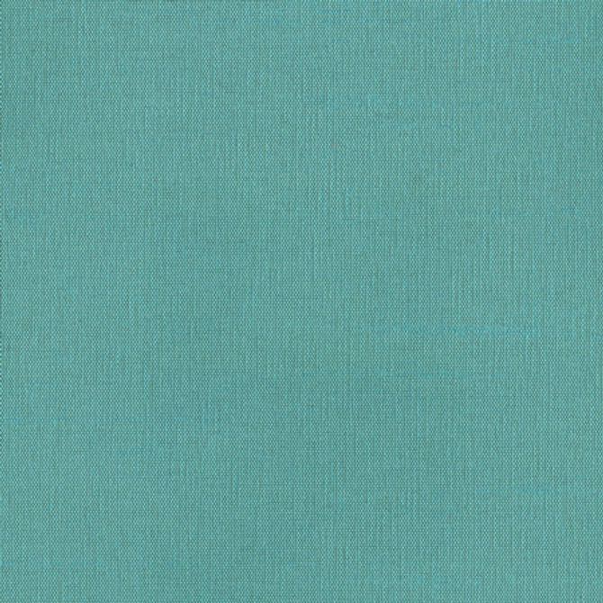 Succulent Cerulean by Carole Fabric Succulent II 100% Polyester India N/A </p><p>Repeat: None 54" - Fabric Carolina -