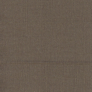 Succulent Coffee Bean by Carole Fabric Succulent II 100% Polyester India N/A </p><p>Repeat: None 54" - Fabric Carolina -