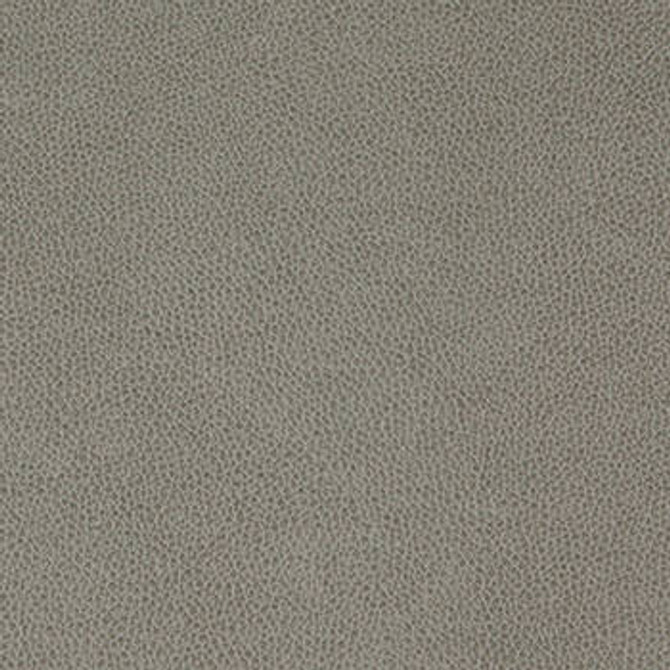 Tolstoy Flintstone WTL-007 by Nassimi Fabric See sample 100% Polyurethane USA or Imported Water-based cleaning agents and foam may be used for cleaning. Cleaning by a professional cleaning service is recommended. </p><p>Repeat: Horizontal: and Vertical: 54" - Fabric Carolina -