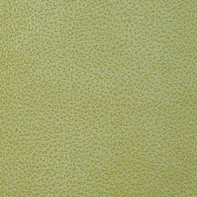 Clarke Peridot by Nassimi Fabric See sample 100% Polyurethane 250000 Horizontal: Not Applicable and Vertical: Not Applicable 54" - Fabric Carolina -