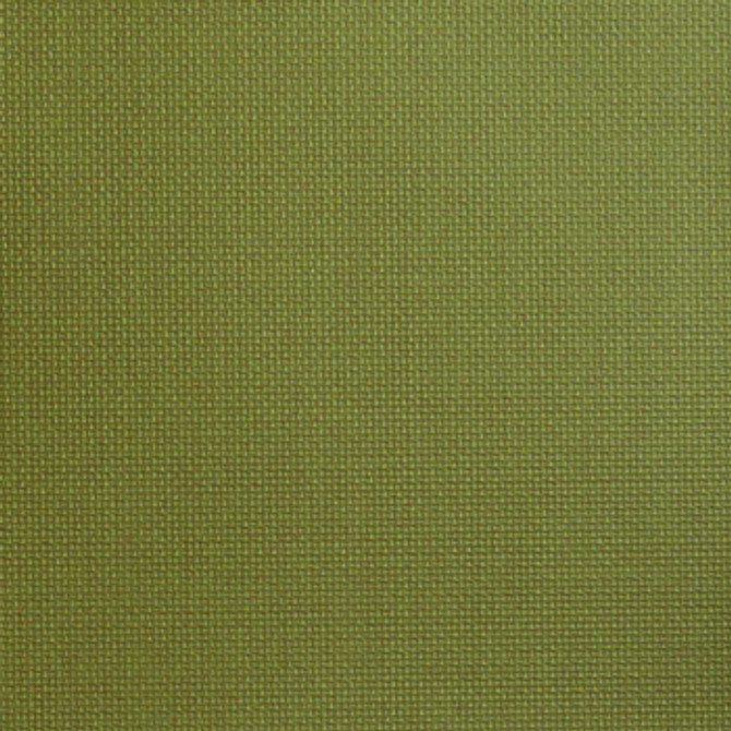 Huxley Green Tea WHX-013 by Nassimi Fabric our website for purchase 100% Polyurethane USA or Asia Water-based cleaning agents and foam may be used for cleaning. This fabric may also be cleaned with mild, water-free solvents. Cleaning by a professional cleaning service is recommended. Horizontal: - and Vertical: - 54" - Fabric Carolina -