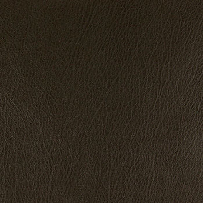 Hemingway Thunder by Nassimi Fabric See sample 100% Polyurethane 250000 Horizontal: Not Applicable and Vertical: Not Applicable 54" - Fabric Carolina -
