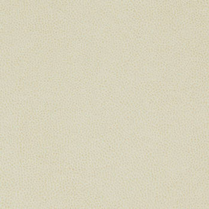 Tolstoy Alpaca WTL-001 by Nassimi Fabric See sample 100% Polyurethane USA or Imported Water-based cleaning agents and foam may be used for cleaning. Cleaning by a professional cleaning service is recommended. </p><p>Repeat: Horizontal: and Vertical: 54" - Fabric Carolina -