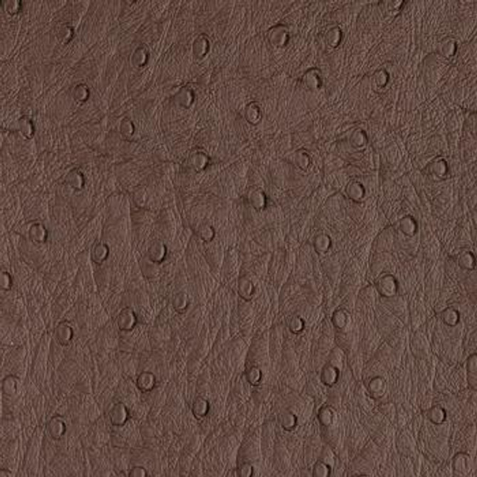Bondi Espresso PBO-007 by Nassimi Fabric See sample 100% Vinyl USA or Imported Water-based cleaning agents and foam may be used for cleaning. Cleaning by a professional cleaning service is recommended. </p><p>Repeat: Horizontal: and Vertical: 54" - Fabric Carolina -