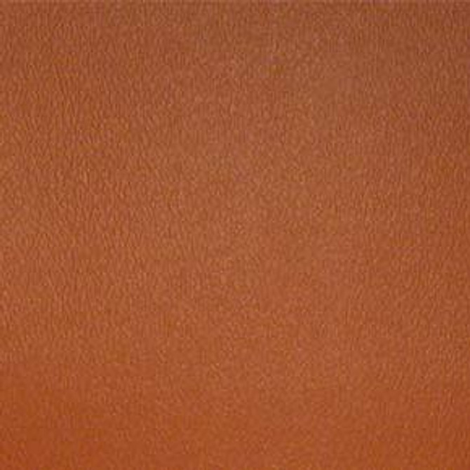 Esprit British Tan ESP 108 by Nassimi Fabric our website for purchase 100% Vinyl USA or Asia Water-based cleaning agents and foam may be used for cleaning. This fabric may also be cleaned with mild, water-free solvents. Cleaning by a professional cleaning service is recommended. Horizontal: - and Vertical: - 54" - Fabric Carolina -