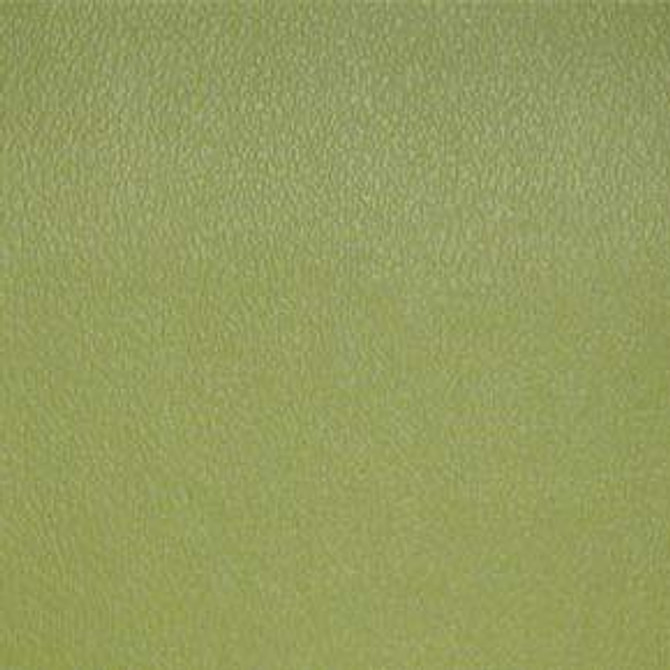 Esprit Artichoke ESP 113 by Nassimi Fabric our website for purchase 100% Vinyl USA or Asia Water-based cleaning agents and foam may be used for cleaning. This fabric may also be cleaned with mild, water-free solvents. Cleaning by a professional cleaning service is recommended. Horizontal: - and Vertical: - 54" - Fabric Carolina -
