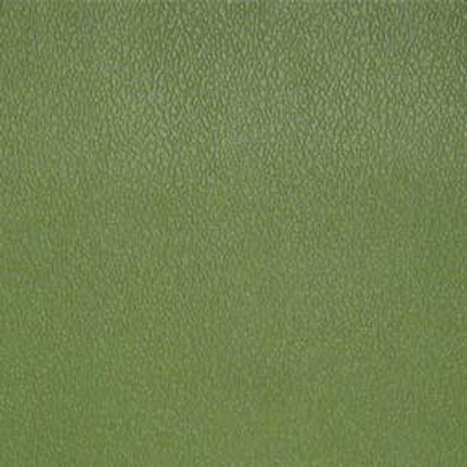 Esprit Olive Green ESP 114 by Nassimi Fabric See sample 100% Vinyl USA or Imported Water-based cleaning agents and foam may be used for cleaning. Cleaning by a professional cleaning service is recommended. 54 - Fabric Carolina -