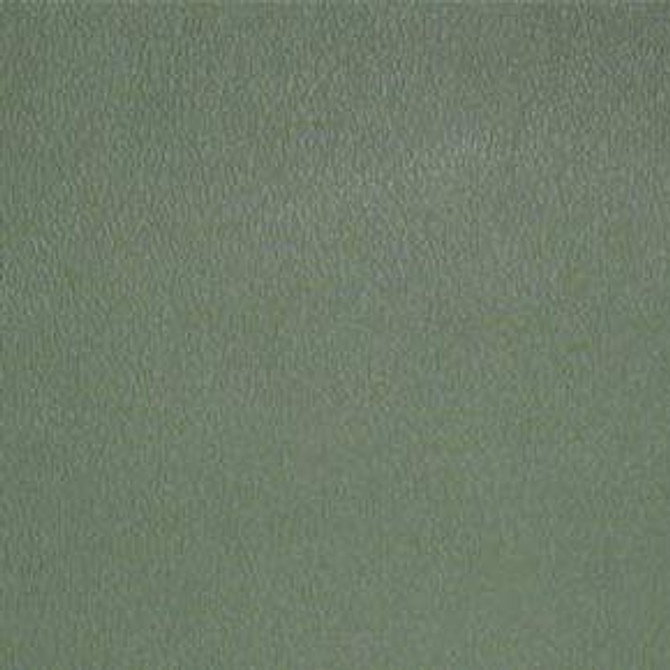 Esprit Vizcaya Palm ESP 169 by Nassimi Fabric See sample 100% Vinyl USA or Imported Water-based cleaning agents and foam may be used for cleaning. Cleaning by a professional cleaning service is recommended. 54 - Fabric Carolina -
