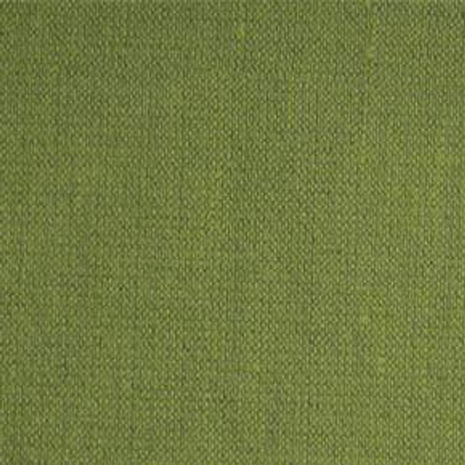 Vibe Grasshopper TVI-012 by Nassimi Fabric our website for purchase 100% Vinyl USA or Asia Water-based cleaning agents and foam may be used for cleaning. This fabric may also be cleaned with mild, water-free solvents. Cleaning by a professional cleaning service is recommended. Horizontal: - and Vertical: - 54" - Fabric Carolina -
