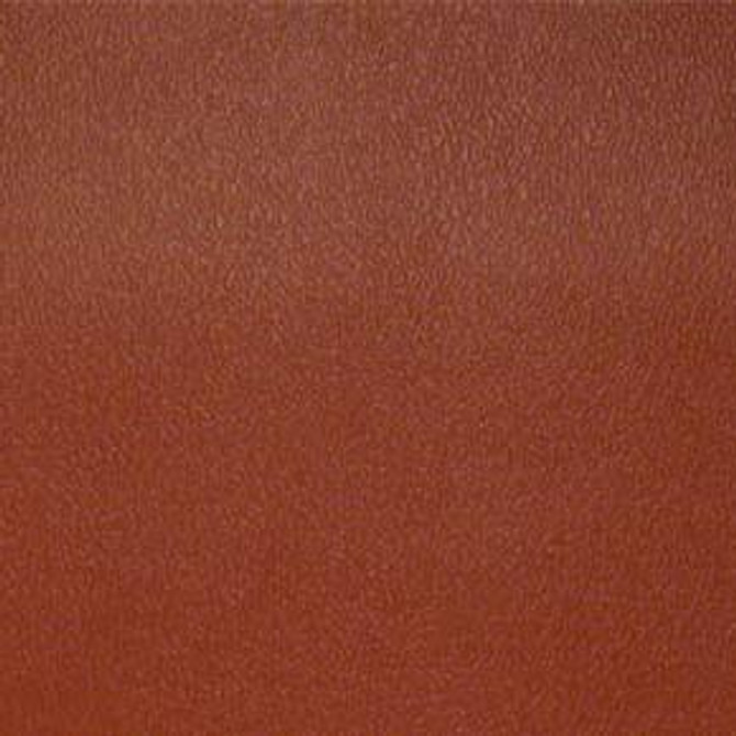 Esprit Deep Clay ESP 109 by Nassimi Fabric See sample 100% Vinyl USA or Imported Water-based cleaning agents and foam may be used for cleaning. Cleaning by a professional cleaning service is recommended. 54 - Fabric Carolina -