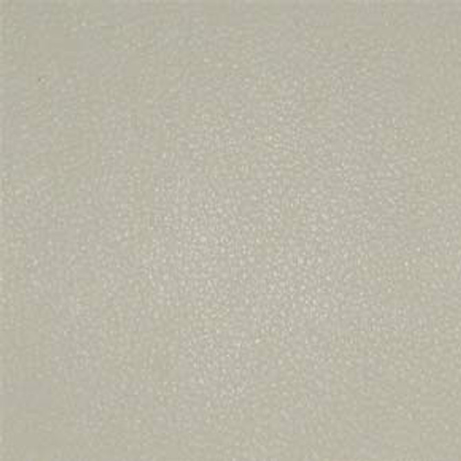 Persuasion Chiffon by Nassimi Fabric See sample 100% Vinyl 250000 Horizontal: Not Applicable and Vertical: Not Applicable 54" - Fabric Carolina -